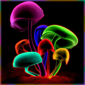 Споры грибов